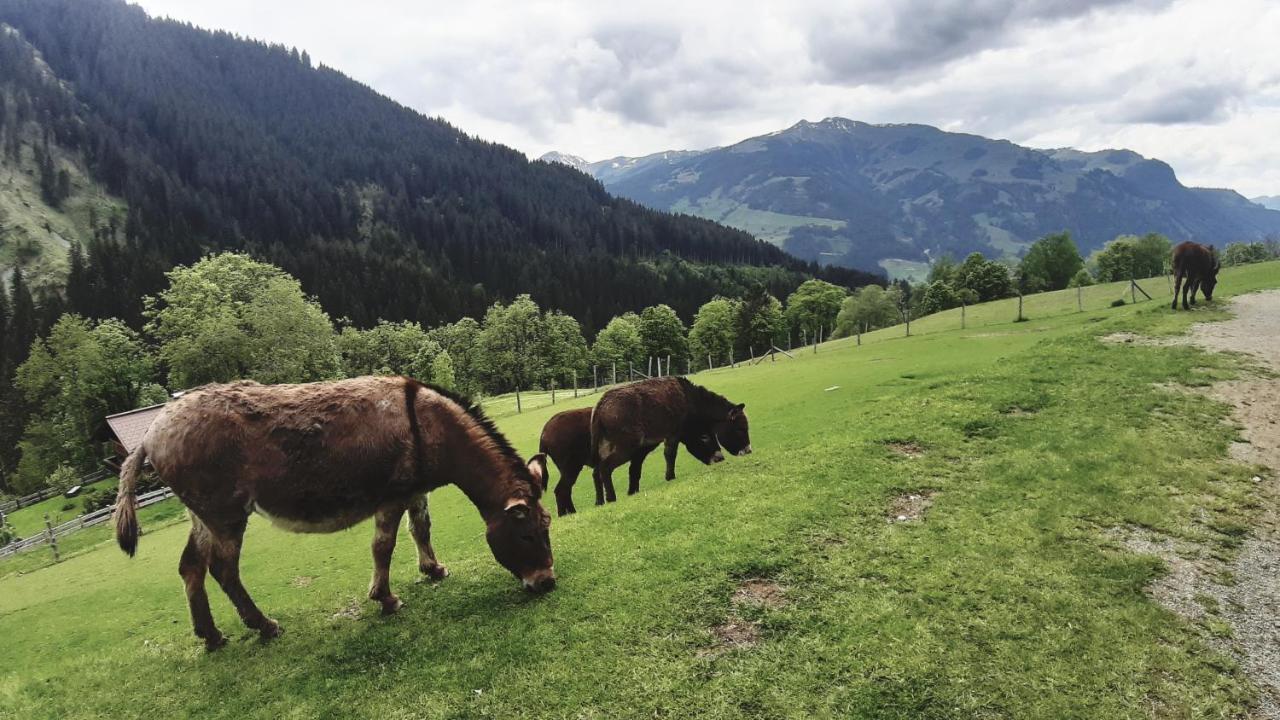 Privatzimmervermietung Foidlbauer Bed & Breakfast Oberndorf in Tirol Exterior photo